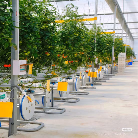 Persianas de aluminio Aerofoil, protección solar para uso en exteriores y persianas de aluminio para techo de pérgola de aluminio impermeables motorizadas